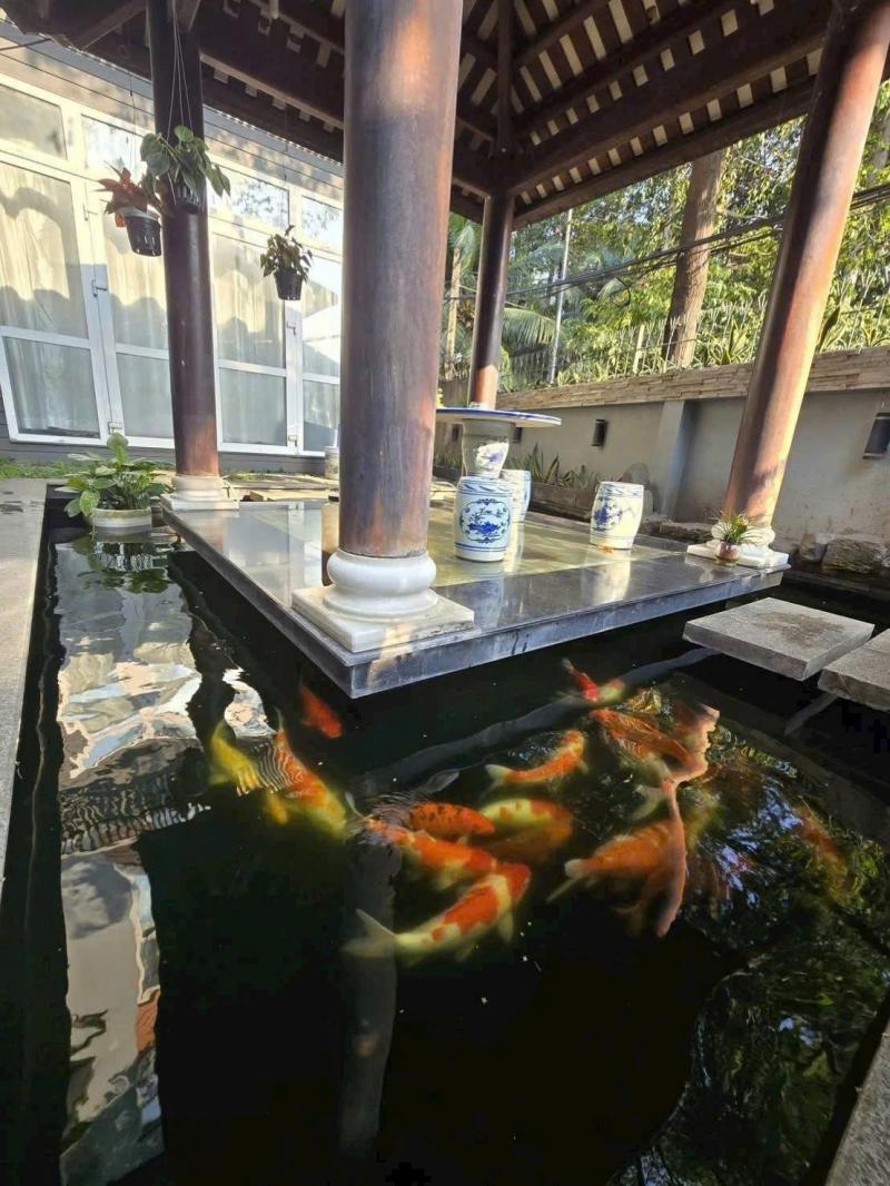 BÁN NHÀ KHU VILLA 122 PHỔ QUANG DIỆN TÍCH: 10X21M (NỞ HẬU 11,5M) HẦM 3 TẦNG