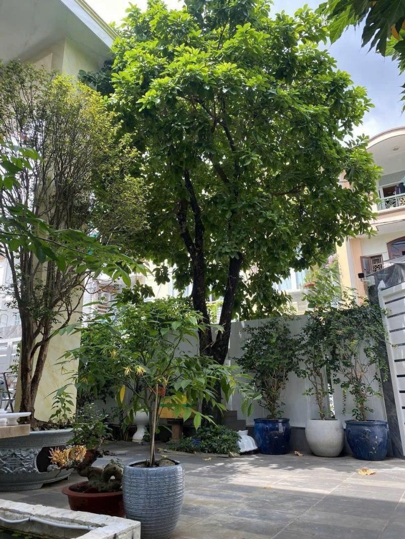 BÁN VILLA MẶT TIỀN 6G8 TRẦN NÃO DIỆN TÍCH: 15X15M TRỆT LẦU, CÓ SÂN VƯỜN