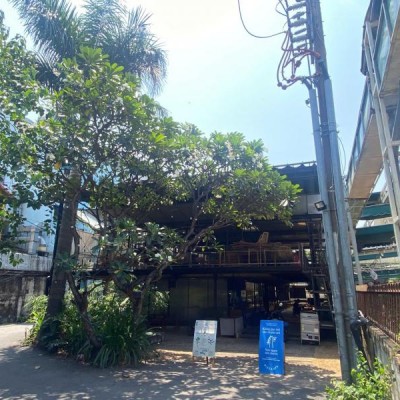 BÁN ĐẤT HẺM 48 XUÂN THỦY DIỆN TÍCH: 11,2X34,68M (CÔNG NHẬN: 487M2)