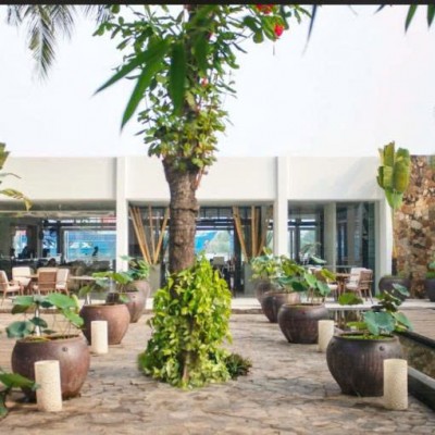 BÁN ĐẤT MẶT TIỀN 38 NGUYỄN Ư DĨ THẢO ĐIỀN DIỆN TÍCH: 25X60M (CÔNG NHẬN: 1.300M2)