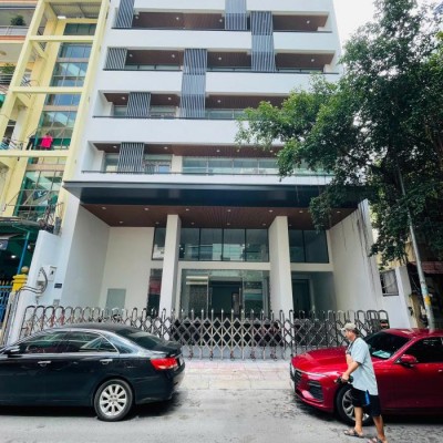 Cho thuê tòa nhà mặt tiền đường Hồ Xuân Hương